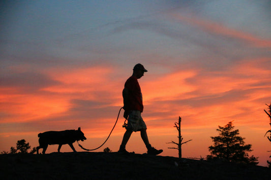 4 Walking Essentials You Actually Need (and 6 You Don't)