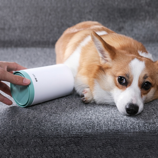 Premium paw cleaner cup product shot 1